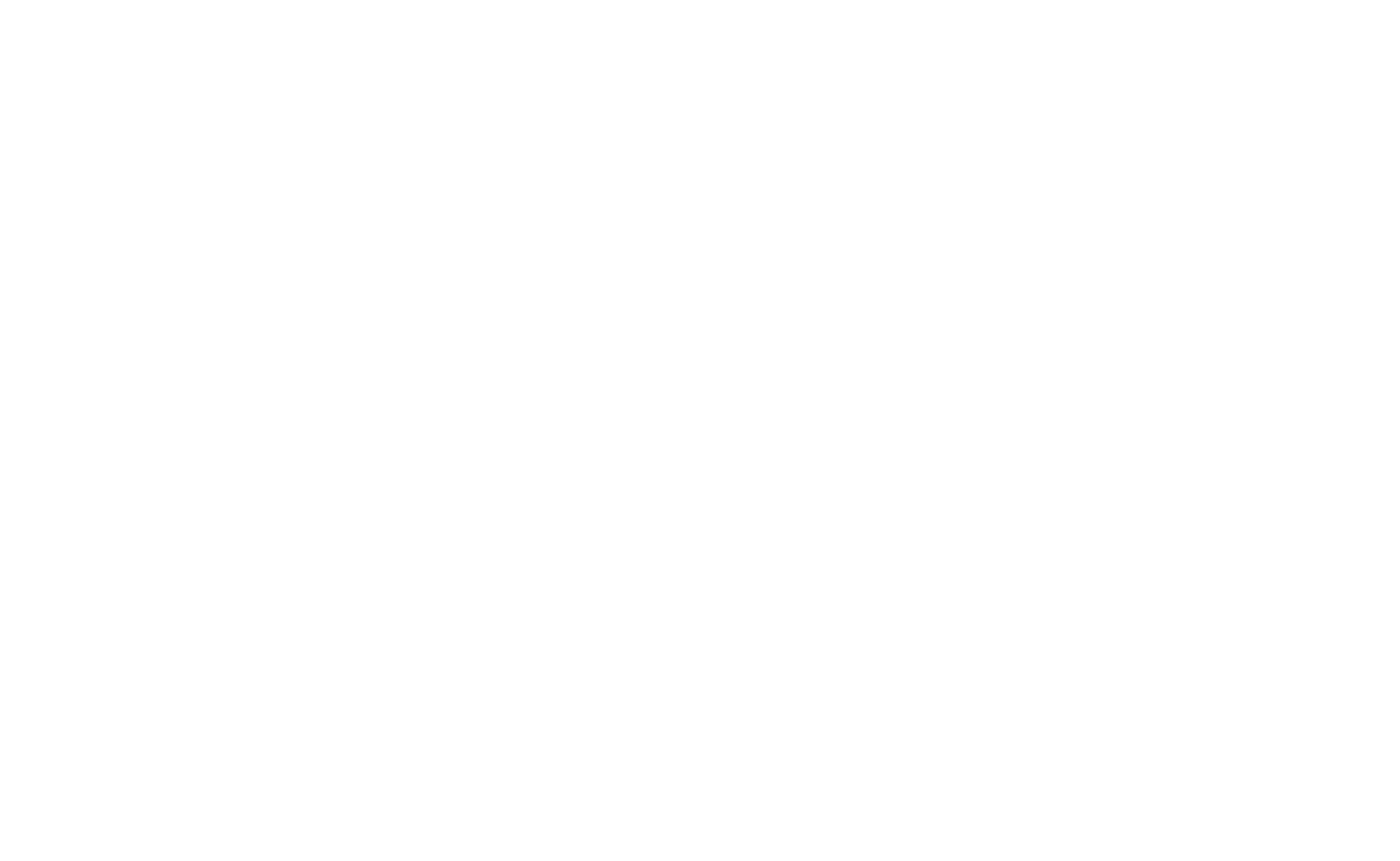 Motorious Performance
